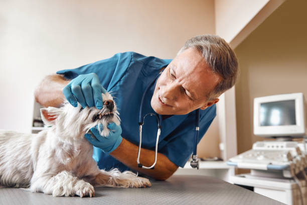 Best Walk-In Emergency Dentist in Perris, CA